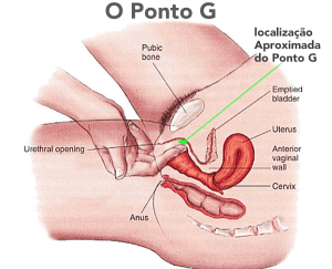 onde fica o ponto g feminino 300x243 - Afinal: O Que é o Ponto G?