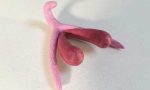 Clitoris gigante 150x90 - 100 maneiras de diferentes de dizer sexo