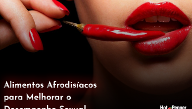 Alimentos Afrodisíacos para Melhorar o Desempenho Sexual 388x220 - 10 Alimentos Afrodisíacos para Melhorar o Desempenho Sexual