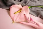 sexualwellness blog 150x100 - Retardantes de ejaculação e prolongadores de ereção: isso realmente funciona para a ejaculação precoce?