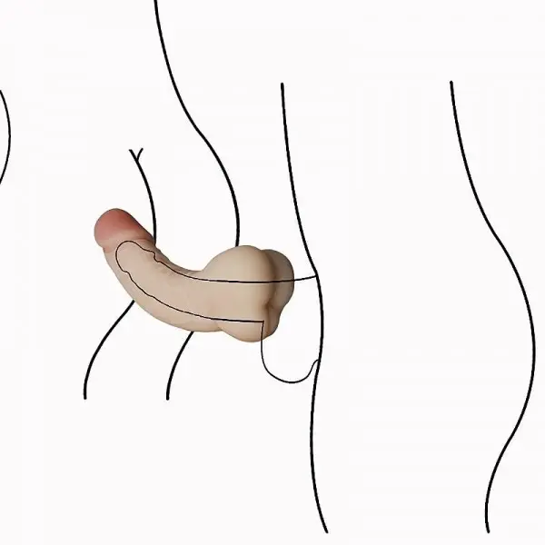 Masturbador Masculino com Pênis e Ânus Really Soft