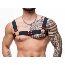 Harness Elástico Preto com Argolas e Detalhes em Vermelho Harness Elástico Preto com Argolas e Detalhes em Vermelho