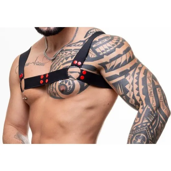 Harness Elástico Preto com Argolas e Detalhes em Vermelho Harness Elástico Preto com Argolas e Detalhes em Vermelho