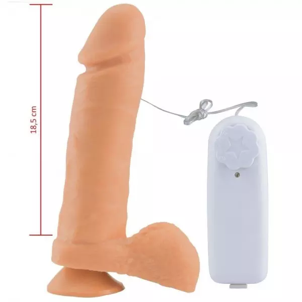 Pênis com Vibro e Ventosa - 20 cm x 4,5 cm Pênis com Vibro e Ventosa - 20 cm x 4,5 cm