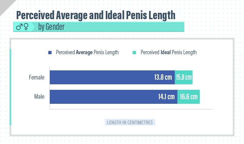 o tamanho do pênis realmente importa