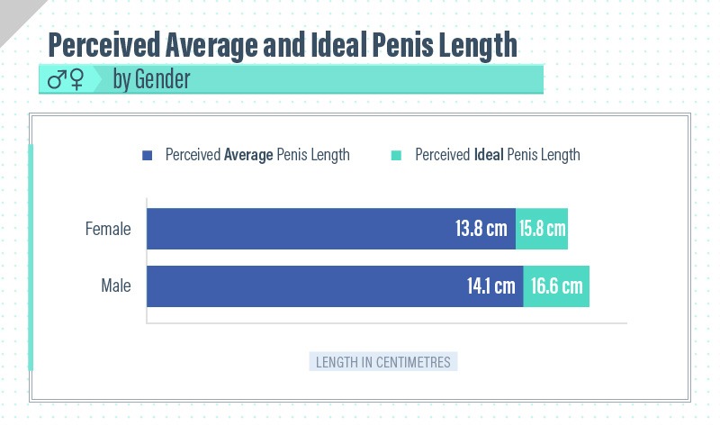 01 by gender - O Tamanho do Pênis Realmente Importa?